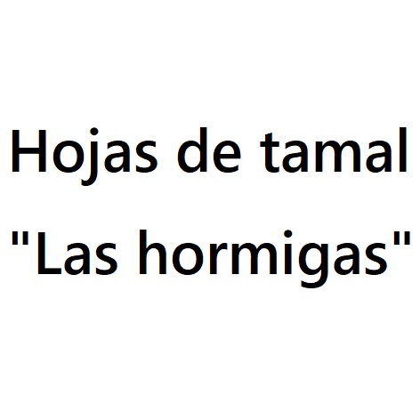 Hojas de Tamal